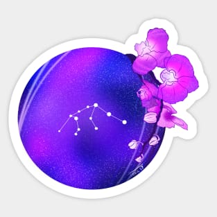 Aquarius Sticker